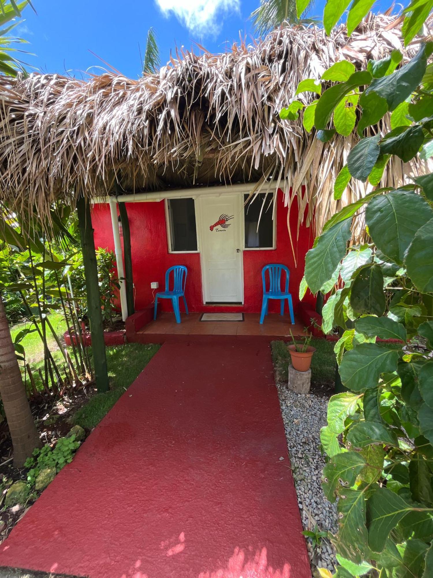 Arena Oceanview Hotel & La Terraza Restaurant Las Galeras Luaran gambar